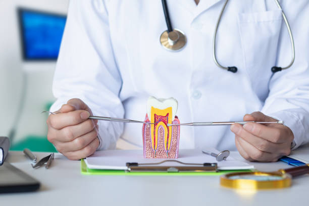 Best Emergency Treatment for Dental Infections or Abscesses in Yreka, CA